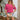 252af005-744e-4e9f-a4bd-e5f96da610db-Max