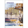 Enemy in Sight!