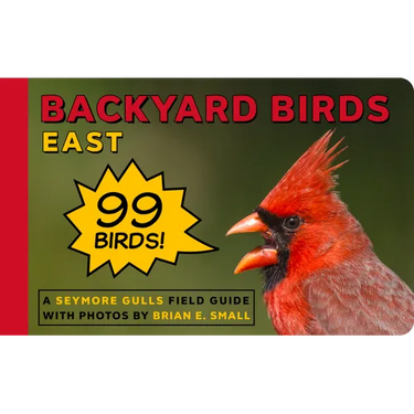 Backyard Birds East