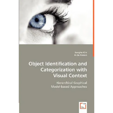 Object Identification and Categorization with Visual Context