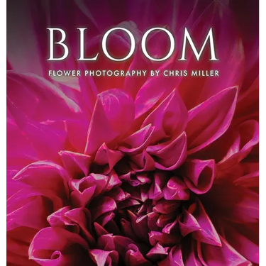 Bloom: Flower Photography by Chris Miller