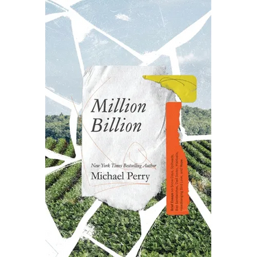 Million Billion: Brief Essays on Snow Days, Spitwads, Bad Sandwiches, Dad Socks, Hairballs, Headbanging Bird Love, and Hope.