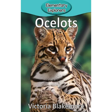 Ocelots