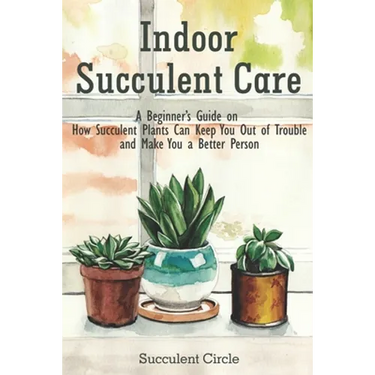 Indoor Succulent Care: A Beginner's Guide on How Succulent Plants Can Keep You Out of Trouble and Make You a Better Person