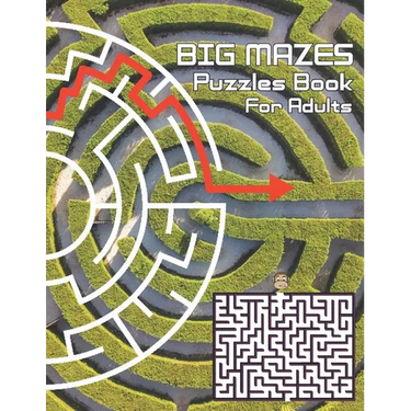 Big Mazes Puzzles Book For Adults: Challenge and Fun for your Brain, Square Mazes Level Two-Player Mazes Books for Beginner to Expert, Maze Puzzle Boo