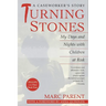 Turning Stones: My Days and Nights with Children at Risk A Caseworker's Story