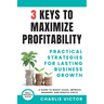 3 Keys to Maximize Profitability - Practical Strategies for Lasting Business Growth