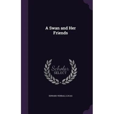 A Swan and Her Friends
