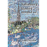 Salisbury, history around us