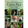 The Amazing Animals of Costa Rica: A Journey Through the Country's Most Spectacular Wildlife