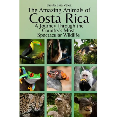 The Amazing Animals of Costa Rica: A Journey Through the Country's Most Spectacular Wildlife