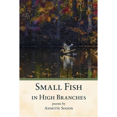 Small Fish in High Branches
