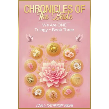 Chronicles of the Bride ( Part 3)