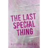 The Last Special Thing