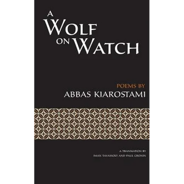 A Wolf on Watch