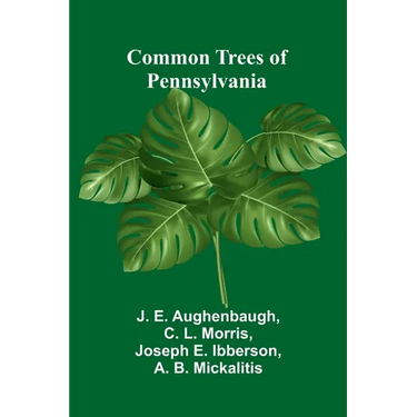 Common Trees Of Pennsylvania