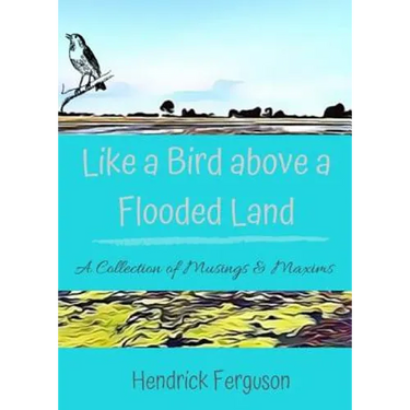 Like a Bird above a Flooded Land: A Collection of Musings & Maxims