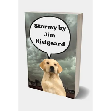 Stormy by Jim Kjelgaard: Winter in the Beaver Flowage was always harsh, with deep snow, bitter winds, and zero temperatures the rule rather tha