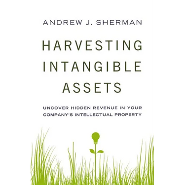 Harvesting Intangible Assets: Uncover Hidden Revenue in Your Company's Intellectual Property
