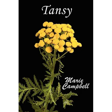 Tansy