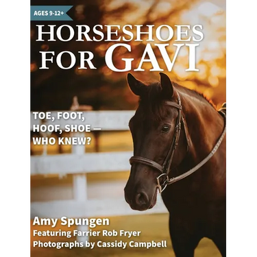 Horseshoes for Gavi: Toe, Foot, Hoof, Shoe - Who Knew?