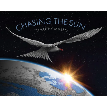 Chasing the Sun