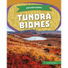 Tundra Biomes