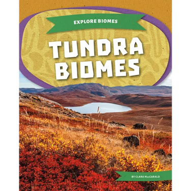 Tundra Biomes