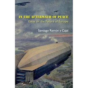In the Aftermath of Peace: Essay on the Future of Europe
