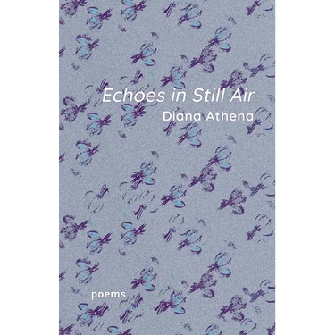 Echoes in Still Air