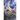 Shadows of Kelig