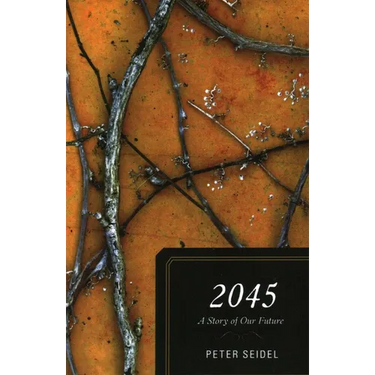 2045: A Story of Our Future