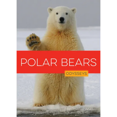 Polar Bears