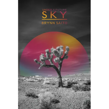 Under a Future Sky