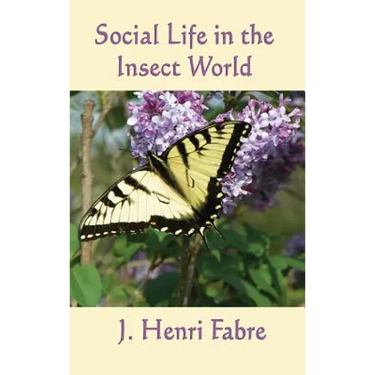 Social Life in the Insect World