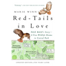 Red-Tails in Love: PALE MALE'S STORY--A True Wildlife Drama in Central Park