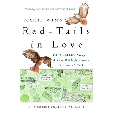 Red-Tails in Love: PALE MALE'S STORY--A True Wildlife Drama in Central Park