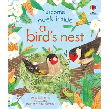 Peek Inside a Bird's Nest