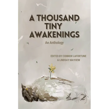 A Thousand Tiny Awakenings