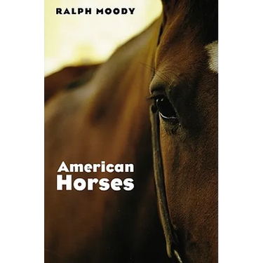 American Horses
