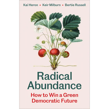 Radical Abundance: How to Win a Green Democratic Future