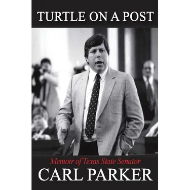 Turtle on a Post