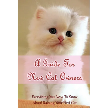 A Guide For New Cat Owners: Everything You Need To Know About Raising Your First Cat: How Do I Care For My New Kitten?