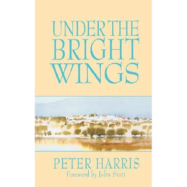 Under the Bright Wings