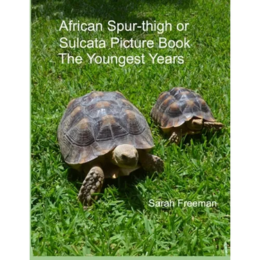 African Spur-thigh or Sulcata Picture Book - The Youngest Years