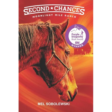 Second Chances: Moonlight Mile Ranch Series: Book 1