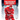 The Detroit Red Wings