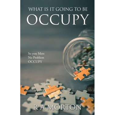 What Is It Going to Be Occupy: So you Mess- No Problem - Occupy