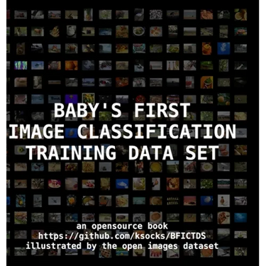 Baby's First Image Classification Training Data Set