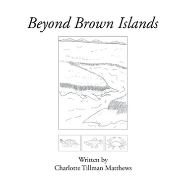 Beyond Brown Islands